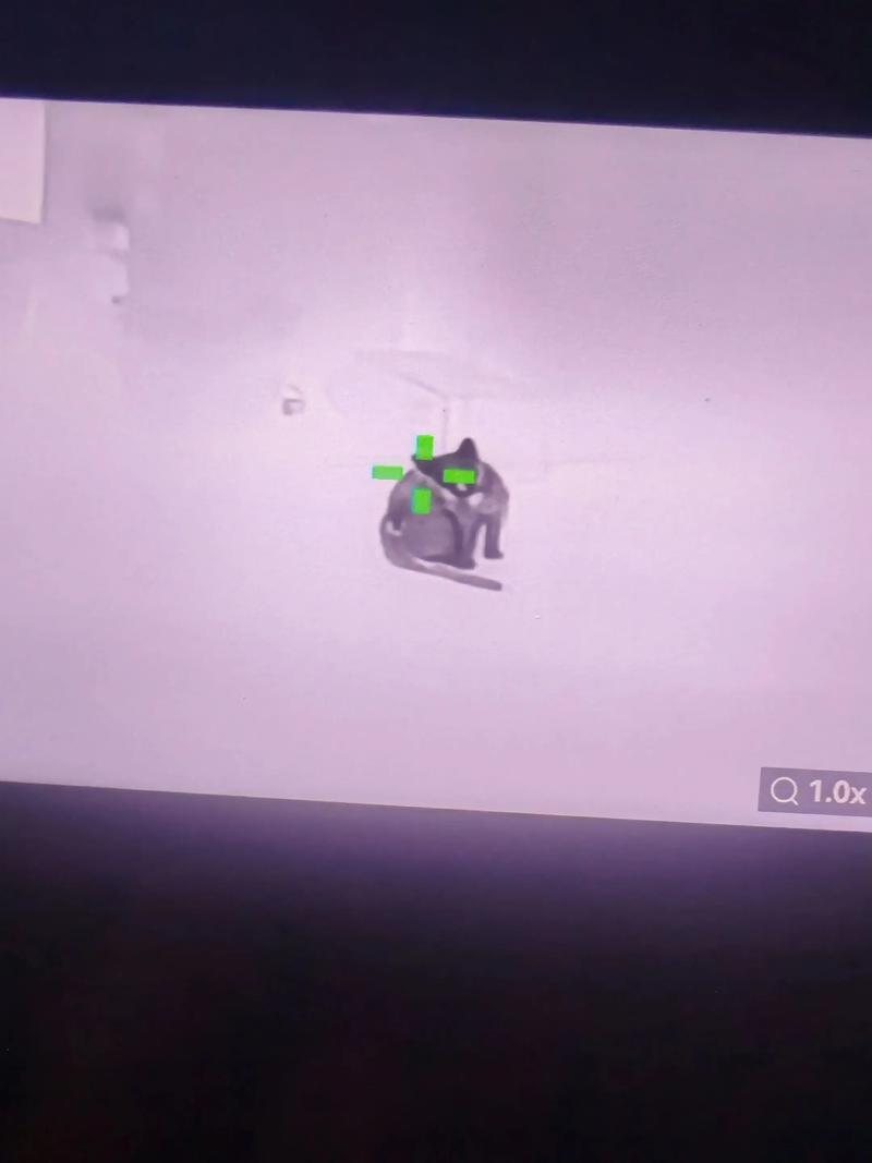 吃了没熟的螃蟹怎么办